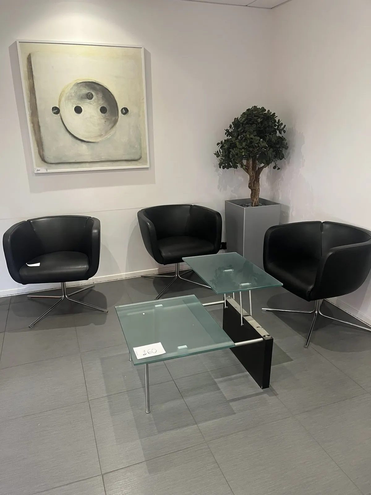 Lot n°260 - Ensemble hall d'attente : 3 fauteuils, 1table basse modulable, 3 pots de fleurs, et 4 tableaux